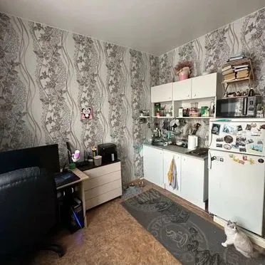 Своб. планировка, 20 м², 1/4 эт.